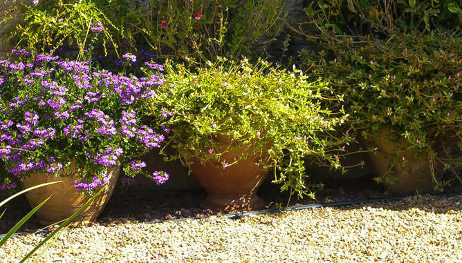 Planting in clay pots up against house wall