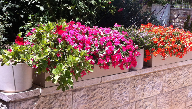 Garden boxes at building's front entrance