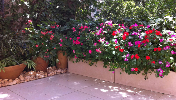 Garden boxes at borders of paved area – with matching color shade to paving