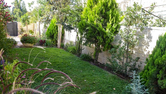 Grass surface with garden borders