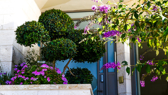 Designed plants at house entrance