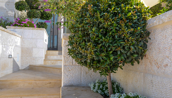 Designed plants in narrow bed along path