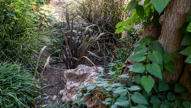 Ancient House in Katamon 8