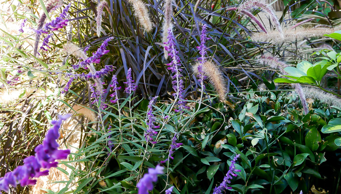 Natural-style plants