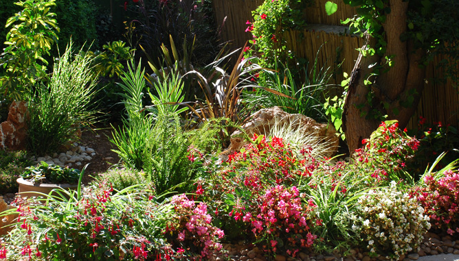 Natural vegetation and rocks combination