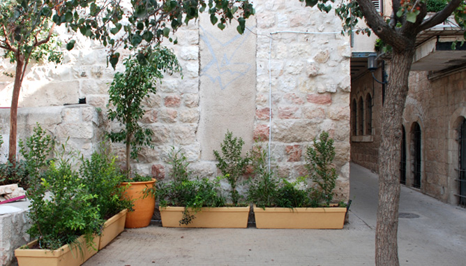 Planting in garden boxes and pots at patio borders to create green, blooming envelope, leaving a clear paved area