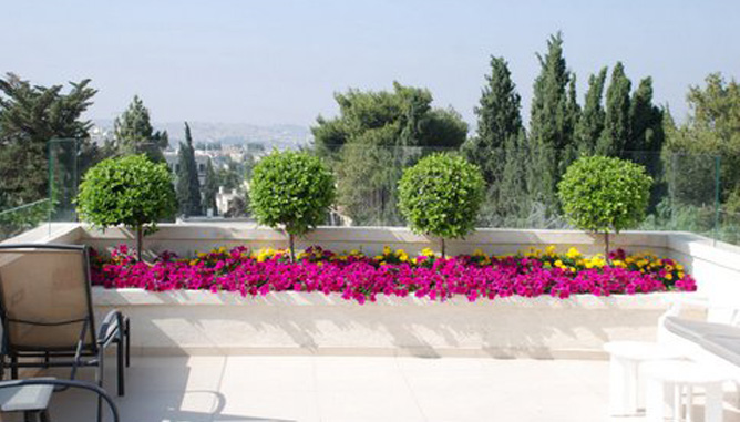 Summer planting