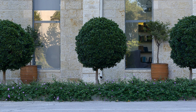 Designed plants on tree trunk to create formal look