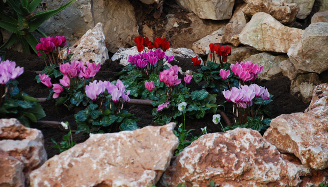 Natural stone rockery