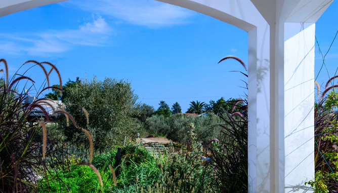 View to garden from entrance