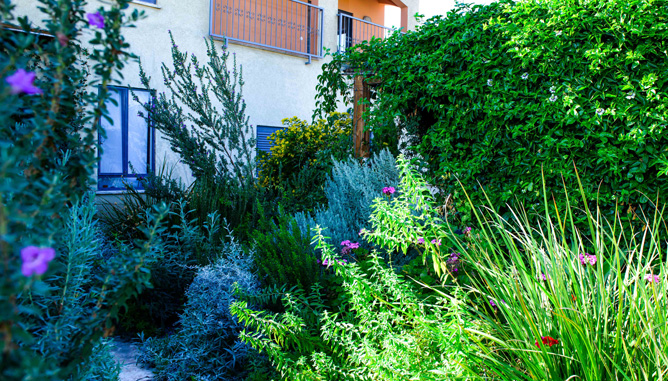 vegetation surrounding back entrance path