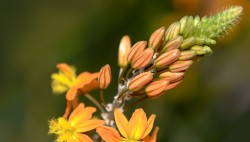 patio_nahalaot_668X381_10