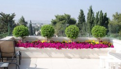 rehavia_roof_668X381_01