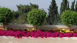 rehavia_roof_668X381_03