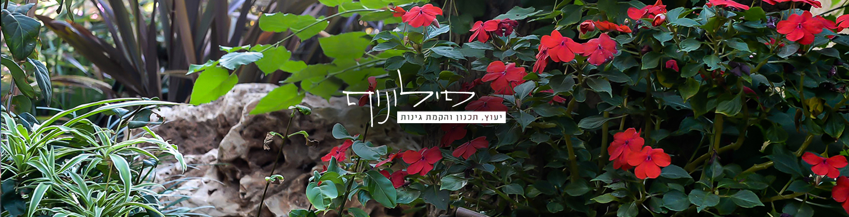 פילונוף – יעוץ, תכנון והקמת