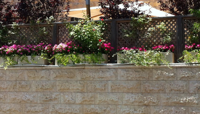 שתילת קיץ באדניות הגדר