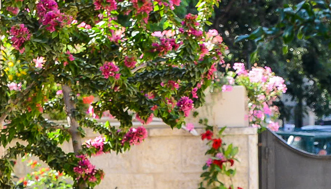 בקעה – עיצוב בסגנון טבעי 2