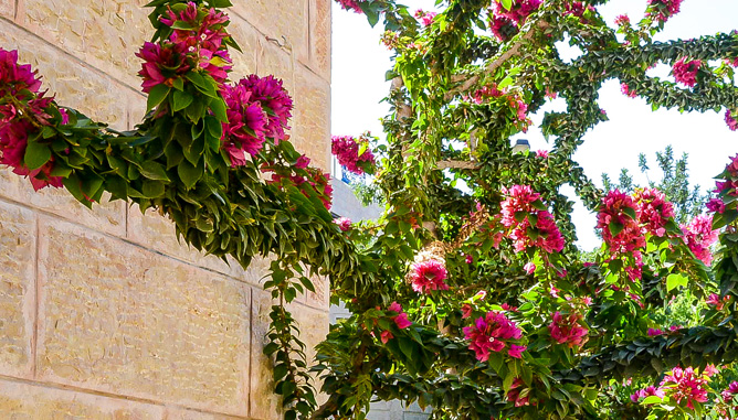 בקעה – עיצוב בסגנון טבעי 12