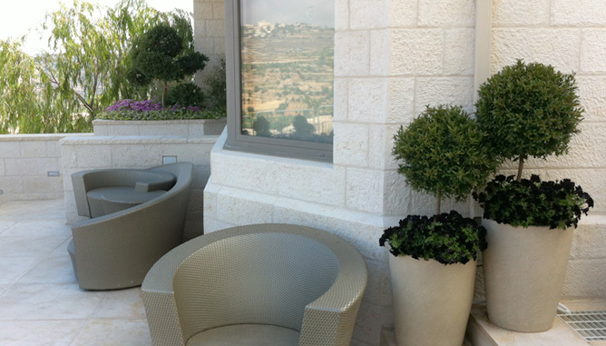 שתילה בכדים