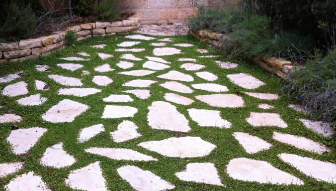 שילוב של אבני דריכה טבעיות ודשא
